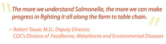 The more we understand Salmonella, the more we can fight it.