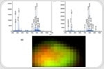 First Mass Spectrometry Images Recorded Using the Matrix-Assisted Ionization in Vacuum Technique