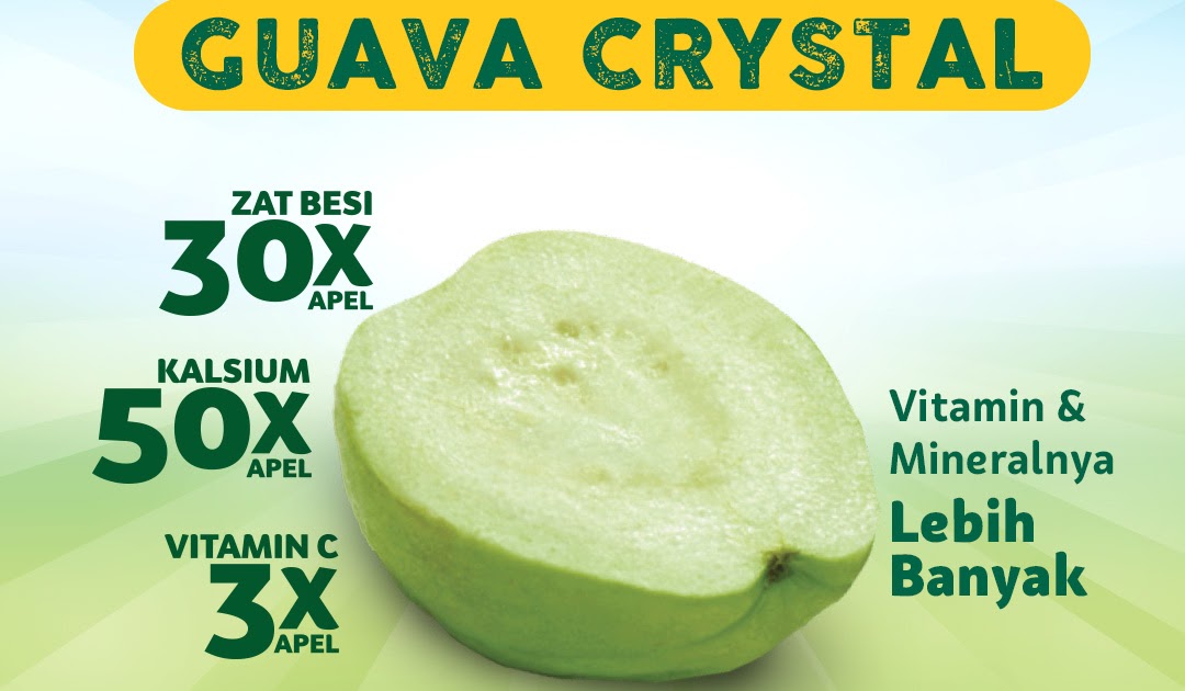 Cara Mengatasi Jambu Kristal Busuk - Cara Menanam jambu ...