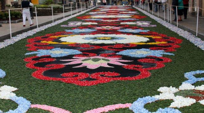 Maybe you would like to learn more about one of these? What Happens To All Those Flowers In A Corpus Christi Procession Praytellblog
