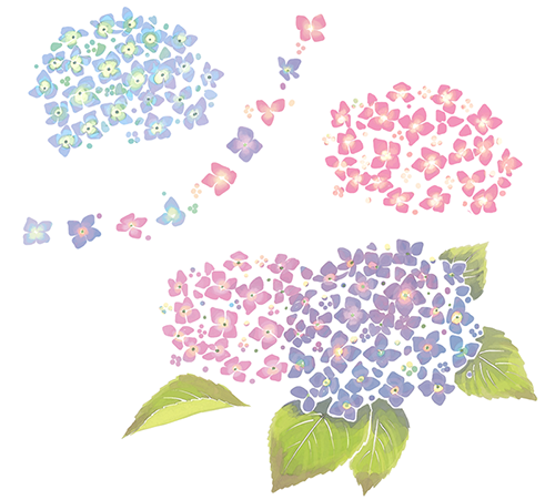 無料でダウンロード 紫陽花 イラスト かわいい 紫陽花 イラスト かわいい フリー ブラッククローバー アニメ画像