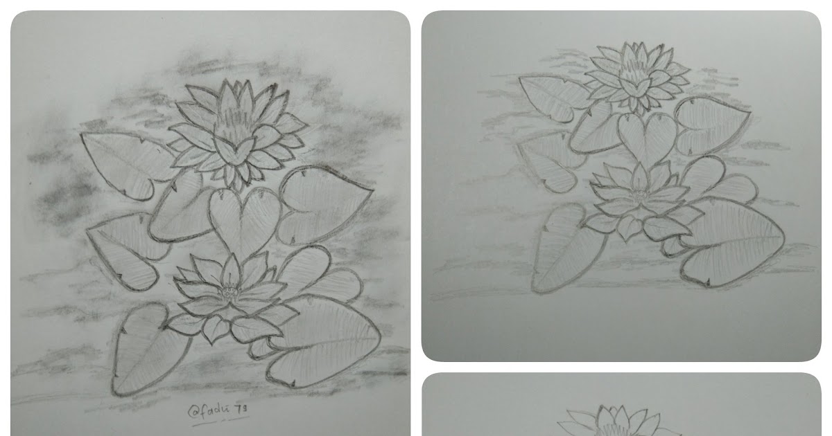 Paling Keren 21+ Sketsa Bunga Pensil - Koleksi Bunga HD