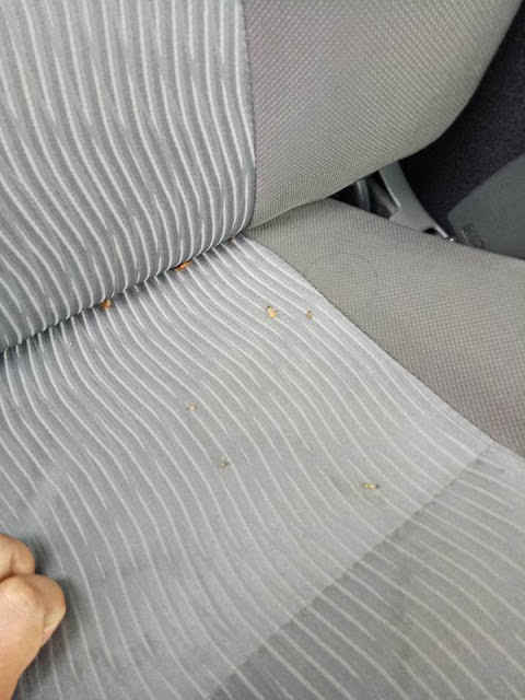 We did not find results for: Petua Menghalau Lipas Dalam Kereta Abang Brian