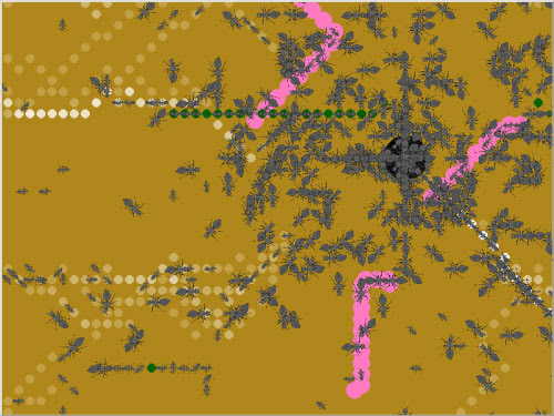 Please remember, codes don't include robux (virtual currency). Ant Colony Simulator Alpha Codes The Colony Ant Simulator How To Run An Alpha Test In Ant Colony U Can Create 4 Types Of Ants