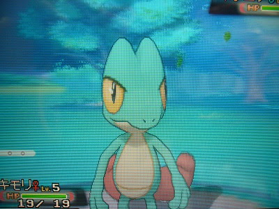 ポケモン オメガルビー 御三家 色違い 確率 シモネタ