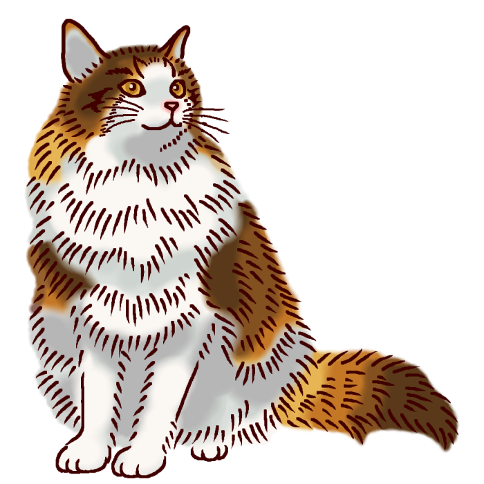 最も共有された かわいい メイン クーン イラスト 最高の画像壁紙日本aad