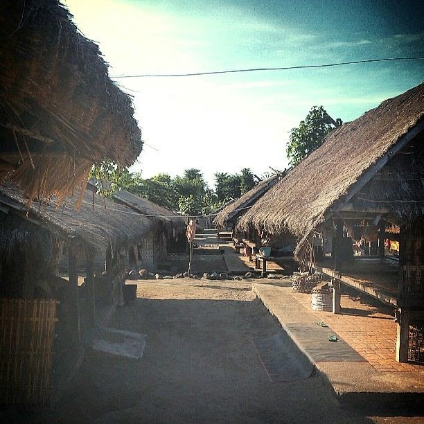 Rumah Pohon Lombok Utara Omong x