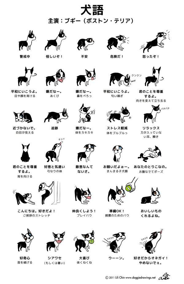 最新のhd犬 ゆるい イラスト 動物ゾーン