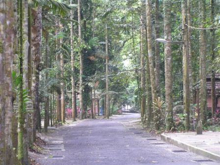 Wowmalaysia.com.my kredit untuk website air terjun paling menarik di malaysia yang sukar ditemui di tempat tengok gambar di air terjun sungai chiling di selangor sahaja dah rasa hendak pergi kesini! Hulu Langat Resort Senarai Resort Dan Kem Di Hulu Langat Hulu Langat Selangor