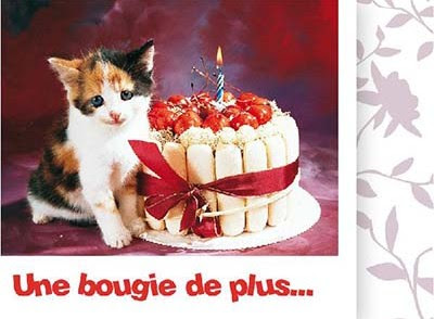 Jolie Carte Anniversaire Lorenzo Fredts