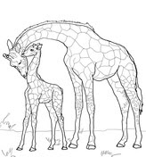 Have fun with our huge collection of animal colouring sheets for click on the animal gallery you like to print the animal coloring pages of. Baby Animals Coloring Pages Free Printable Pictures