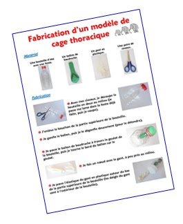 Un mouvement respiratoire comprend … La Respiration Sequence Complete Chez Monsieur Paul