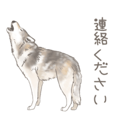 100以上 狼 イラスト 描き 方 かっこいい 狼 イラスト 描き 方 簡単 Michaelbelljp