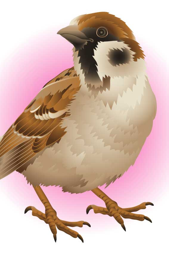 ベスト小鳥 イラスト リアル 美しい花の画像