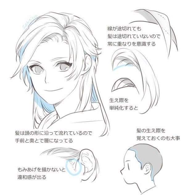 人気ダウンロード 生え際 イラスト 女性 生え際 イラスト