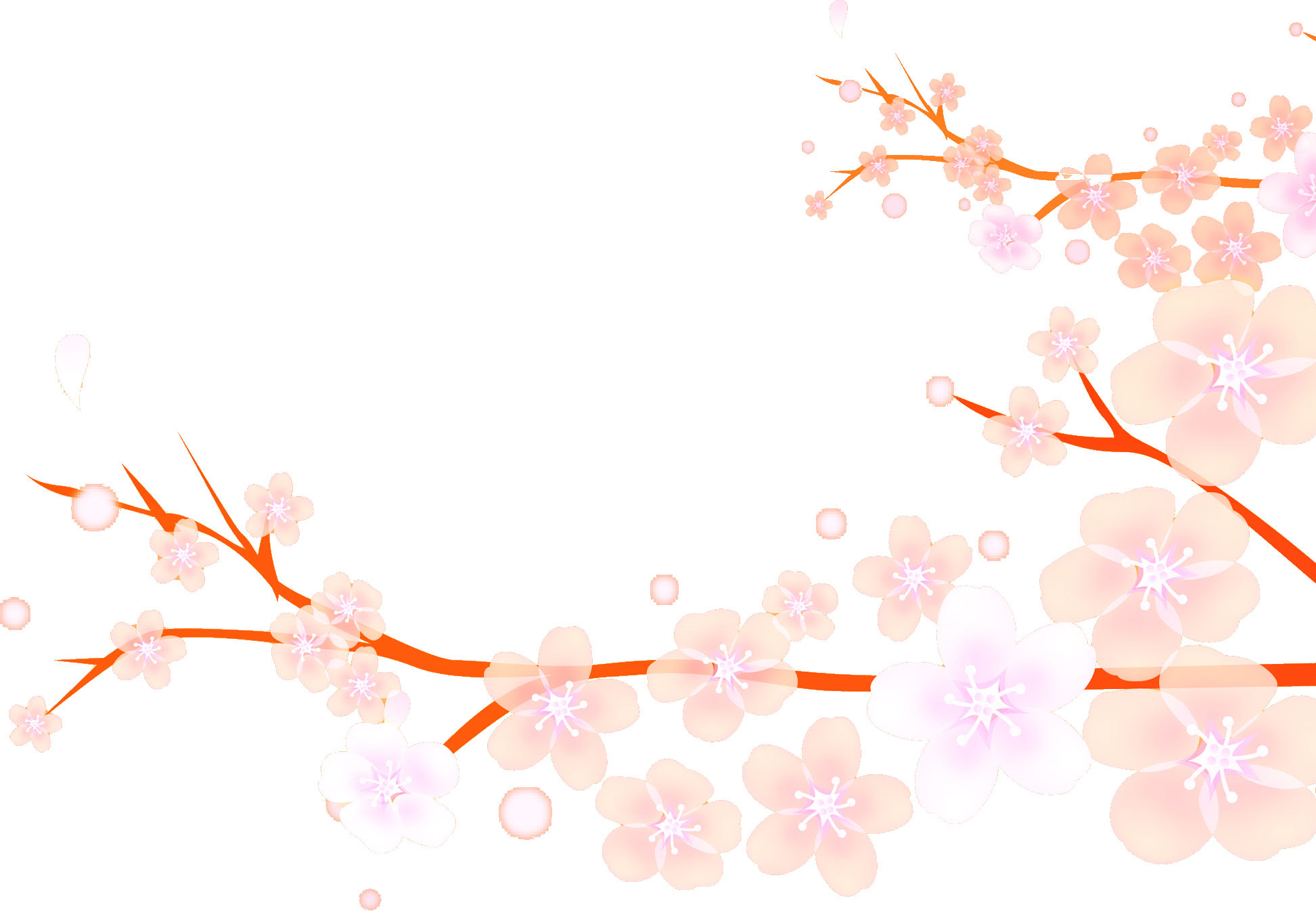 Japimage 桜 画像 素材