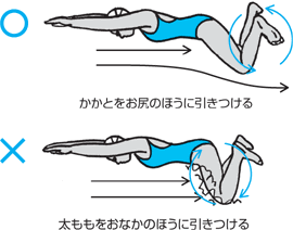 印刷 平泳ぎ イラスト 正面 平泳ぎ イラスト 正面 Imagejoshbbl
