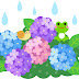 [無料ダウンロード！ √] ��雨 雨 イラスト 綺麗 フリ��� 871008
