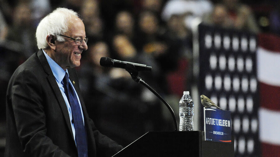 Image result for bernie sanders bird