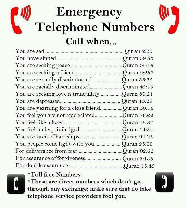 Telephone numbers are fixed at seven digits, with area codes fixed at two or three digits. Emergency Numbers In Uae Pdf Instalseaprice