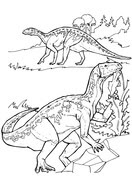 Gerne erstellen wir auch ihre ganz persönliche malvorlage nach ihren vorgaben von einem foto. Ausmalbilder Dinosaurier Malvorlagen Kostenlos Zum Ausdrucken