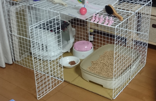無料ダウンロード 猫 ケージ 手作り 100 均 100 で最高の画像