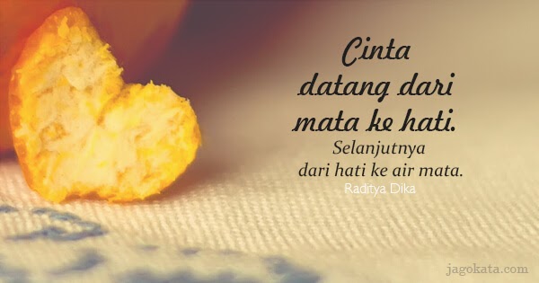 25 Kumpulan Kata Kata  Bijak Raditya  Dika  Kata  Kata  