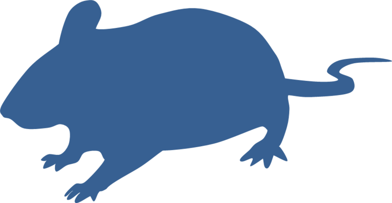 最も人気のある マウス イラスト 実験 Ituirasuto