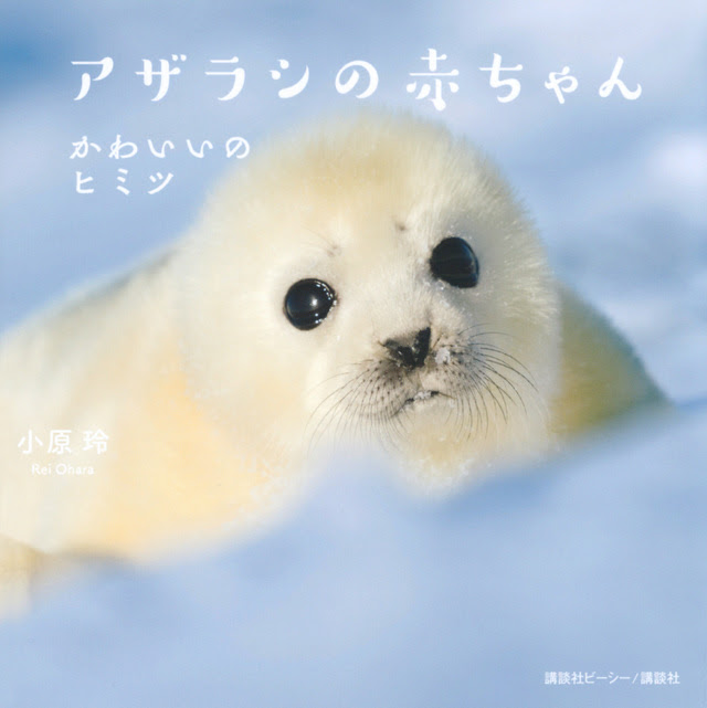 アニメ画像について 新着アザラシ いらすとや