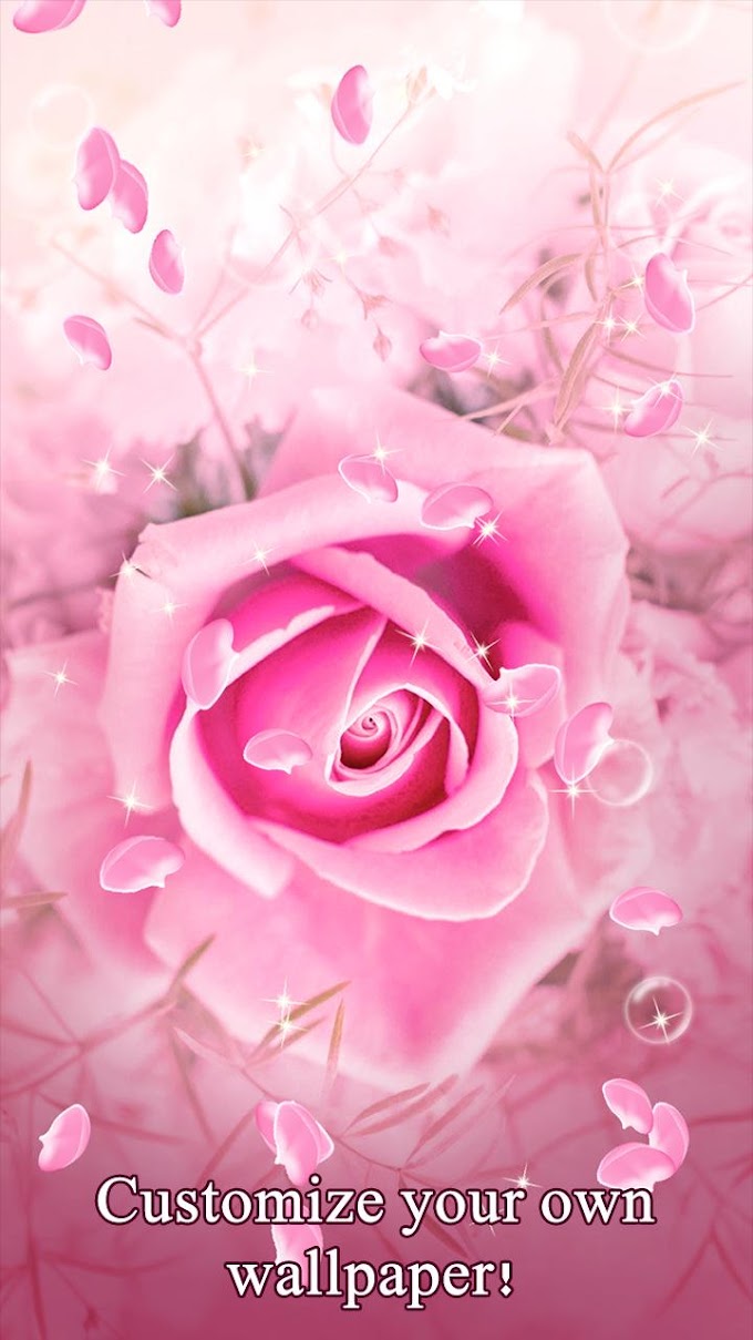 Iphone ピンク 薔薇 壁紙 の最高のコレクション 最高の壁紙hd