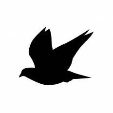 ベスト鳥 イラスト 簡単 シルエット 動物ゾーン