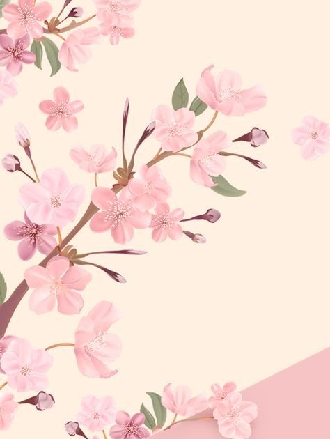 Wow 15 Wallpaper  Bunga  Sakura  Di Dinding  Joen Wallpaper 