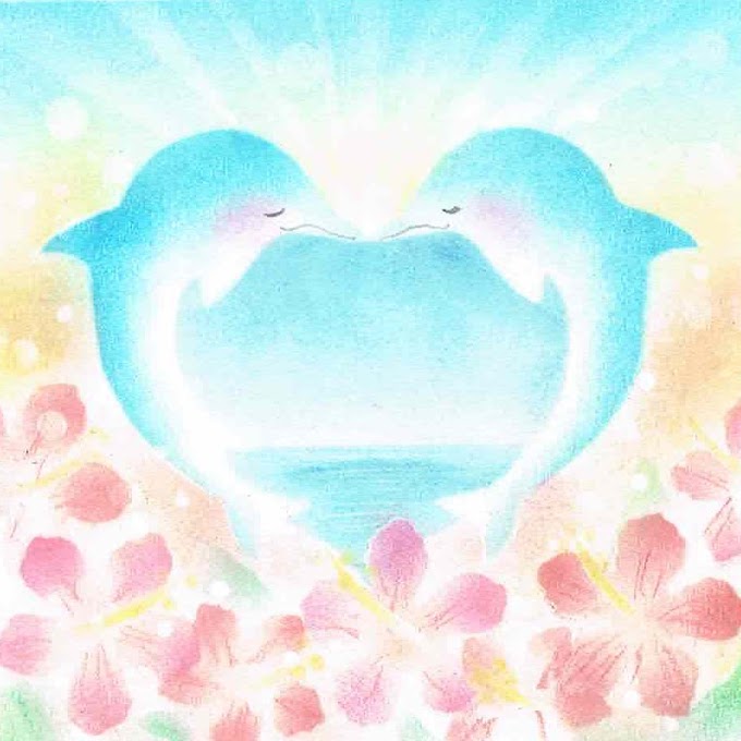 かっこいい 可愛い イルカ イラスト ここで最高の画像コレクション