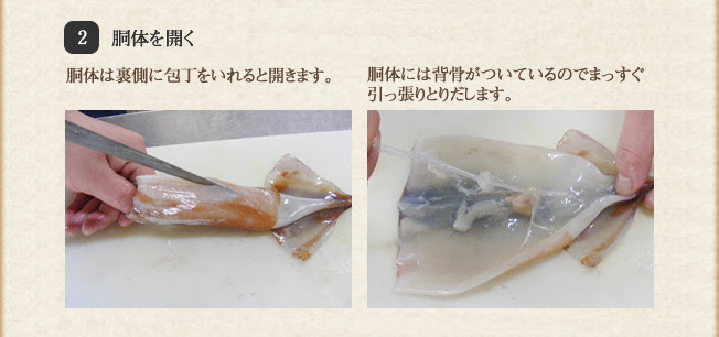 これまでで最高のイカ 背骨 最高の花の画像