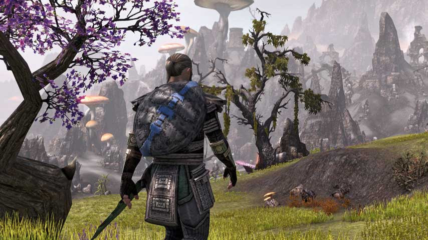 We did not find results for: The Elder Scrolls Online Skyrim Skin Can T Make Up For Mmorpg Mediocrities Vg247