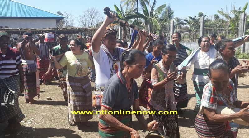 75+ Gambar Rumah Adat Suku Timor Terlengkap - Kumpulan Gambar Terbaru