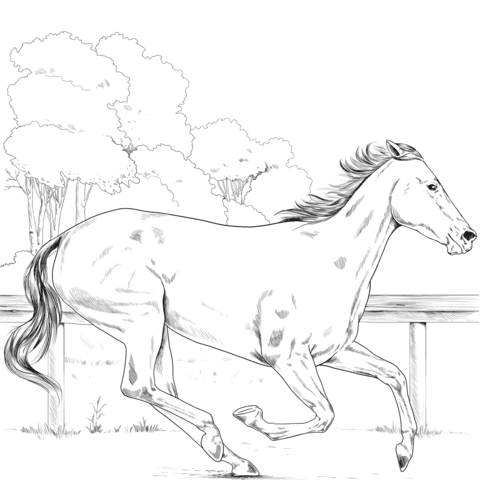 Printable coloring pages for teens. Thoroughbred Horse Coloring Page Free Printable Coloring Pages