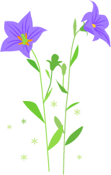 最高のイラスト画像 新着秋の花 イラスト 無料