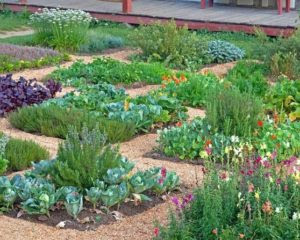 Herb Garden Designs Windowsunity