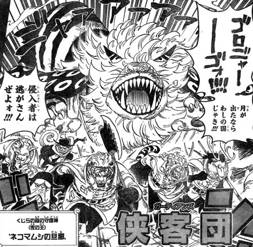 新しい One Piece キャラクター 誕生日 ベストアニメ画像