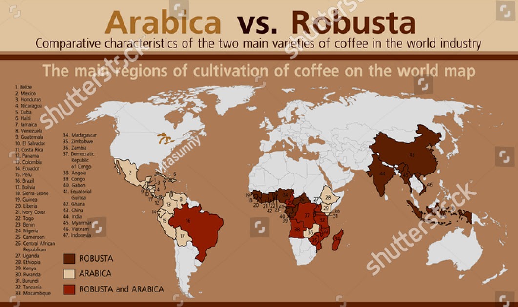 barchart coffee robusta