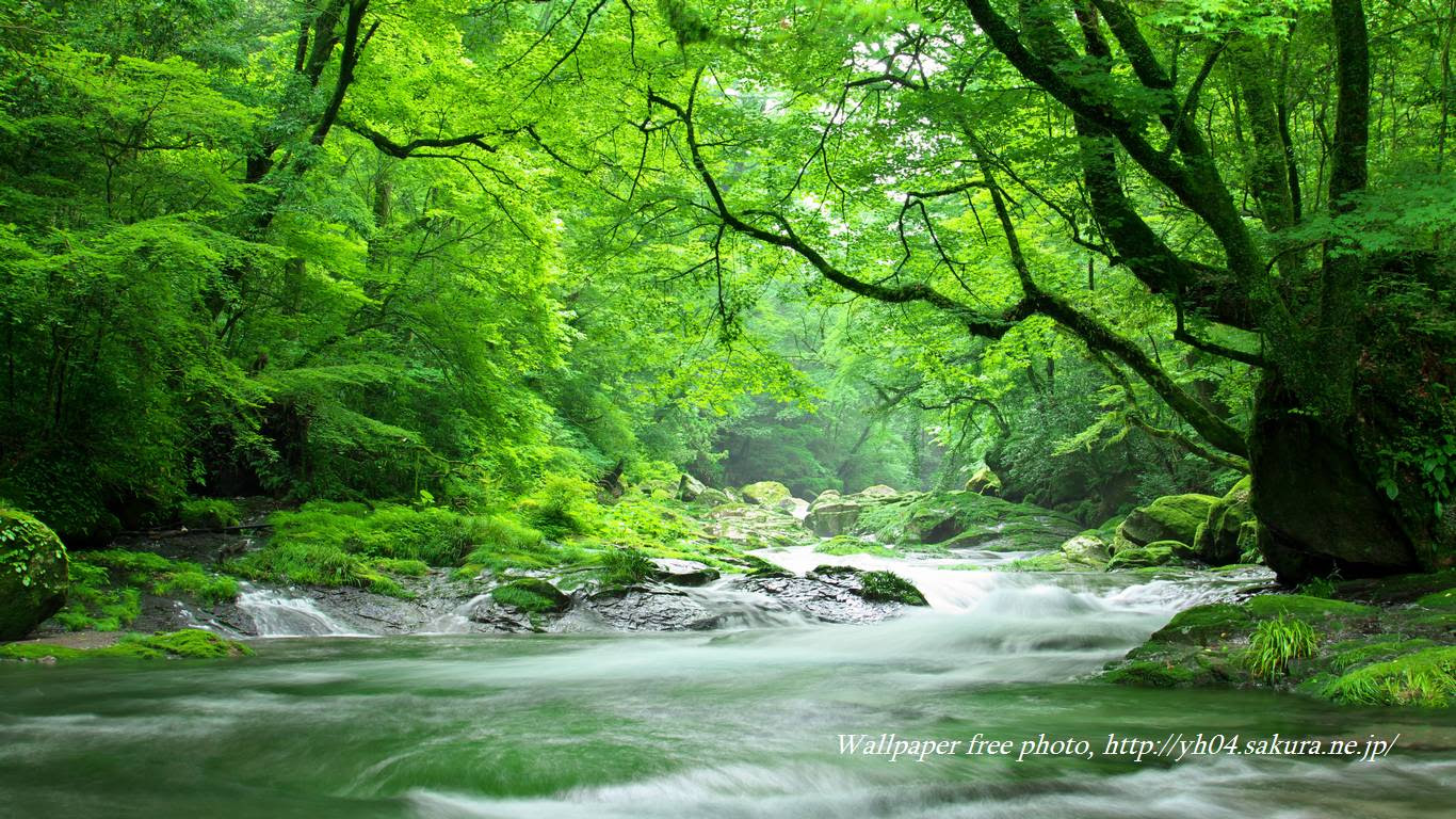 上選択 デスクトップ 壁紙 風景 Jpbestwallpaper
