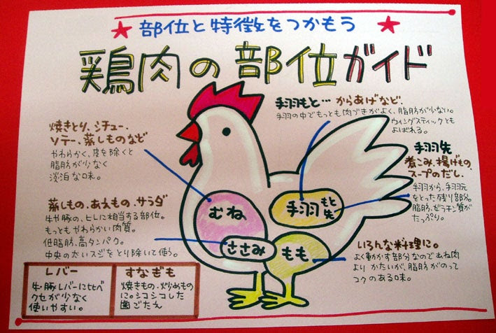 すべての動物の画像 ぜいたくイラスト 鶏肉 部位