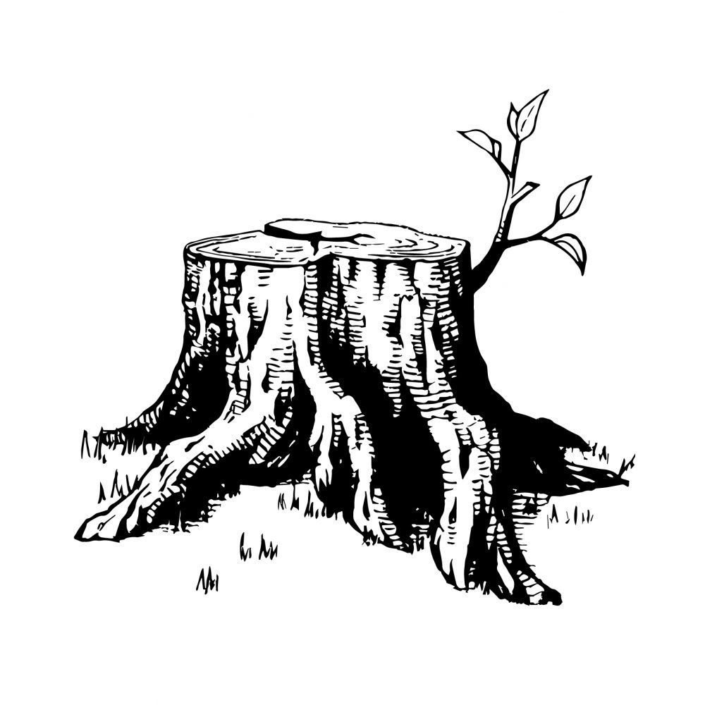 切り株 イラスト 上から