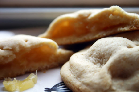 Raisin Filled Cookies Recipe Raisin Filled Cookies This Link Is To An External Site That May Or May Not Meet Accessibility Guidelines Aneka Tanaman Bunga