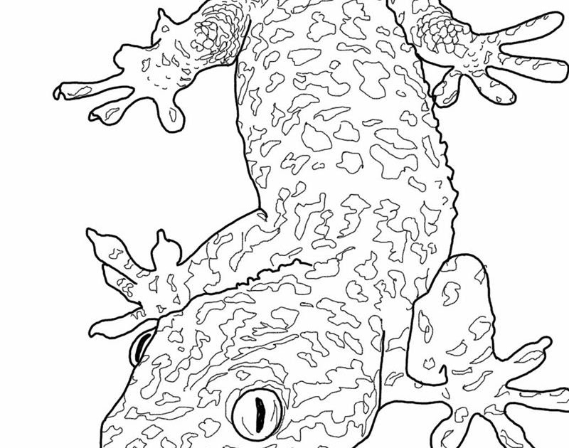 Download Monitor lizard coloring pages download and print for free