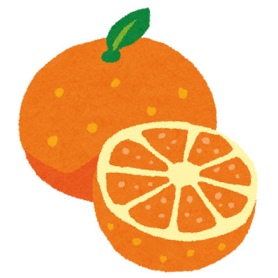 元のオレンジ イラスト 手書き 美しい花の画像