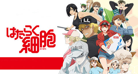 50 鈴木健一 アニメ作品 最高のアニメ画像