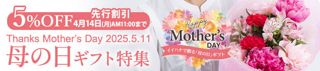 Pictngamukjpmsl4 フランス語 花畑 フランス語 花畑 英語