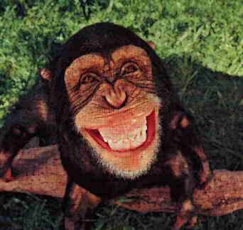 This monkey has a big smile